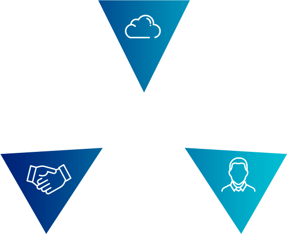 IT-аутсорсеры, системные интеграторы, разработчики, IT-консалтеры